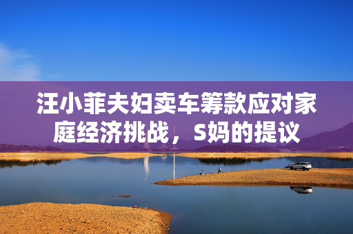 汪小菲夫妇卖车筹款应对家庭经济挑战，S妈的提议