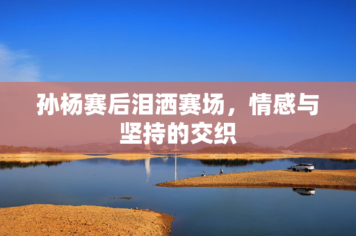孙杨赛后泪洒赛场，情感与坚持的交织