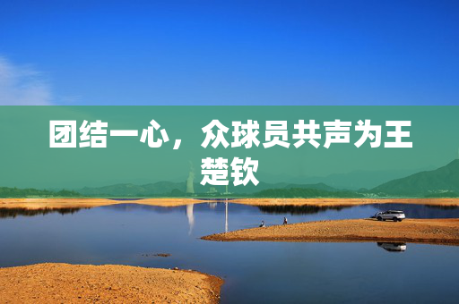 团结一心，众球员共声为王楚钦