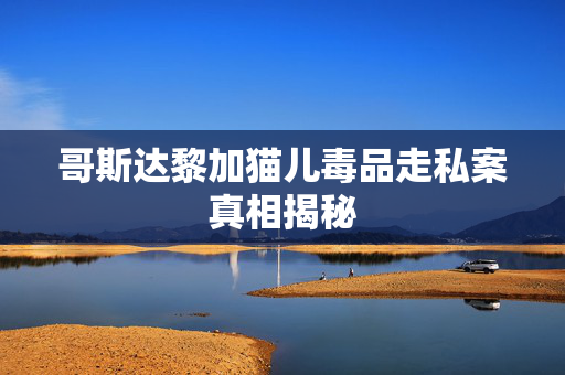 哥斯达黎加猫儿毒品走私案真相揭秘