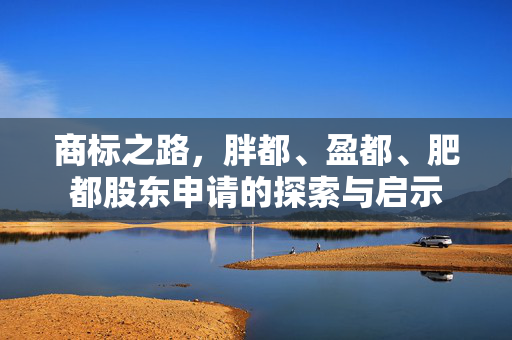 商标之路，胖都、盈都、肥都股东申请的探索与启示