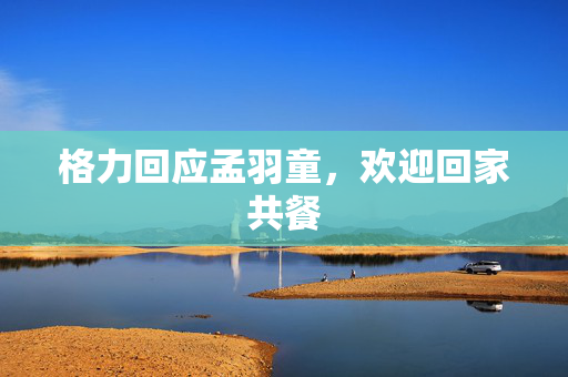 格力回应孟羽童，欢迎回家共餐