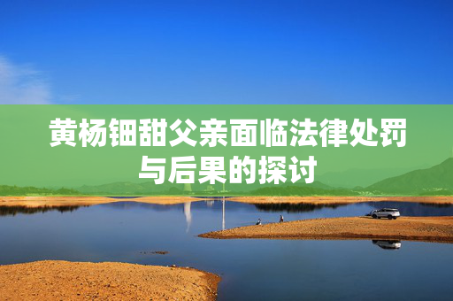黄杨钿甜父亲面临法律处罚与后果的探讨