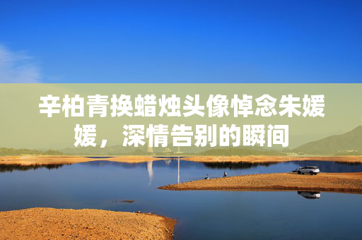 辛柏青换蜡烛头像悼念朱媛媛，深情告别的瞬间