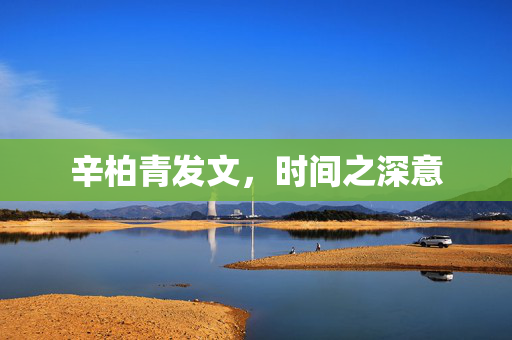 辛柏青发文，时间之深意