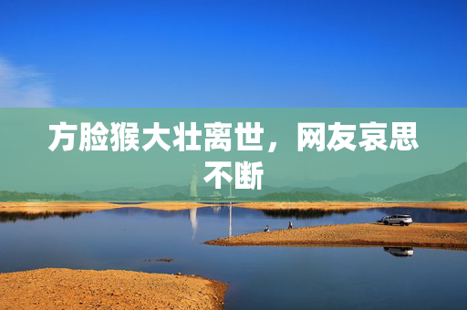 方脸猴大壮离世，网友哀思不断