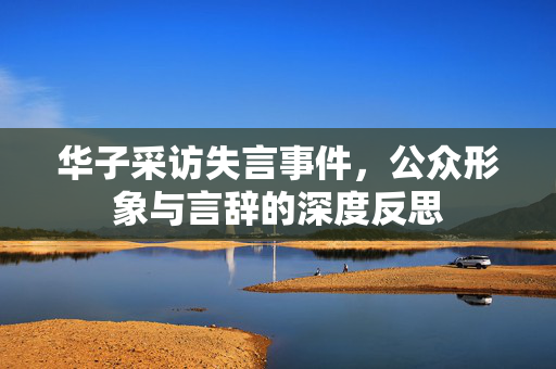华子采访失言事件，公众形象与言辞的深度反思