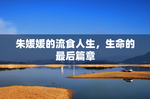 朱媛媛的流食人生，生命的最后篇章