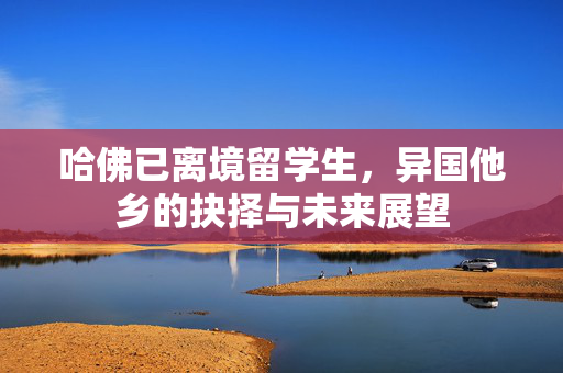 哈佛已离境留学生，异国他乡的抉择与未来展望