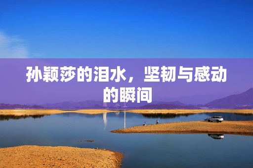 孙颖莎的泪水，坚韧与感动的瞬间
