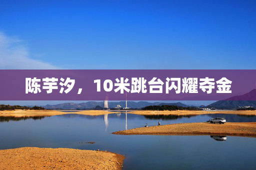 陈芋汐，10米跳台闪耀夺金
