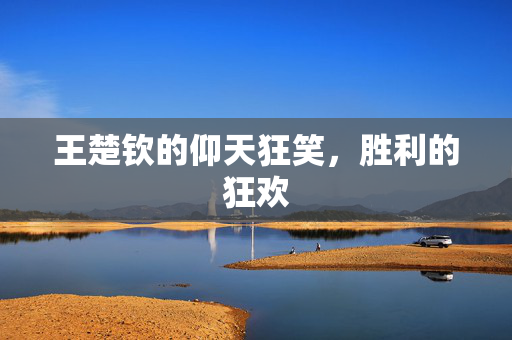 王楚钦的仰天狂笑，胜利的狂欢