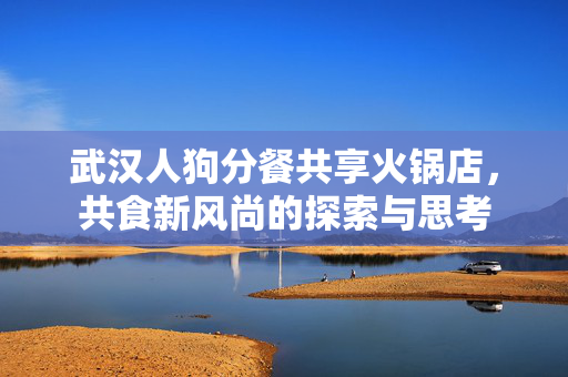 武汉人狗分餐共享火锅店，共食新风尚的探索与思考