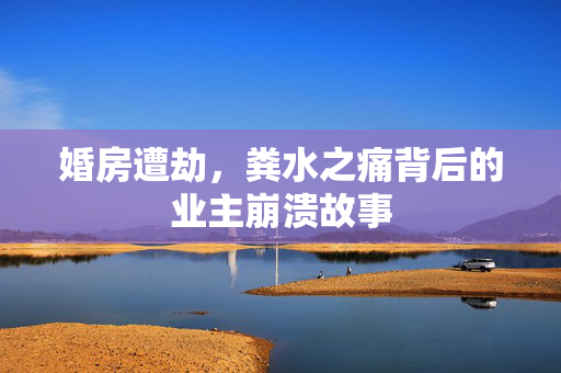 婚房遭劫，粪水之痛背后的业主崩溃故事