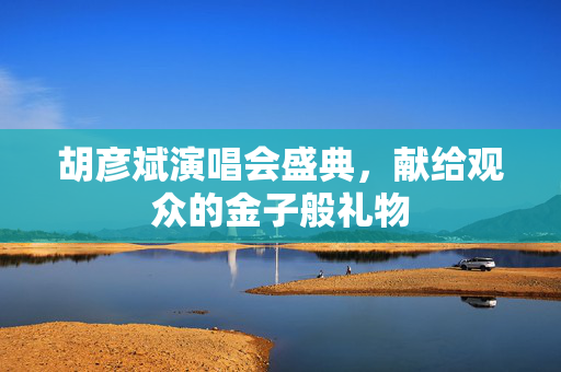 胡彦斌演唱会盛典，献给观众的金子般礼物