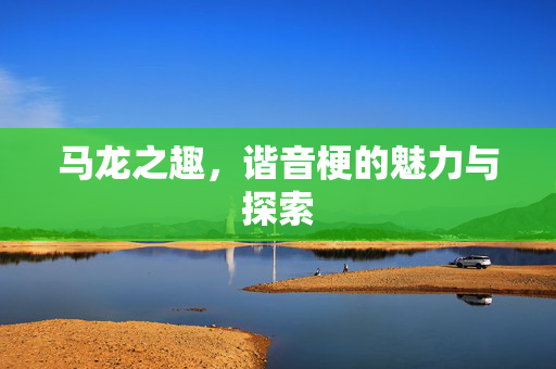 马龙之趣，谐音梗的魅力与探索