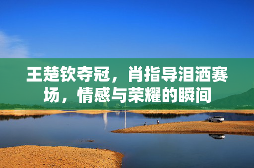 王楚钦夺冠，肖指导泪洒赛场，情感与荣耀的瞬间