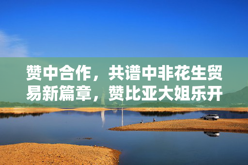 赞中合作，共谱中非花生贸易新篇章，赞比亚大姐乐开怀，中国顾客豪购欢声笑语中