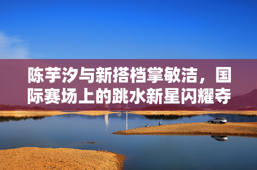 陈芋汐与新搭档掌敏洁，国际赛场上的跳水新星闪耀夺冠