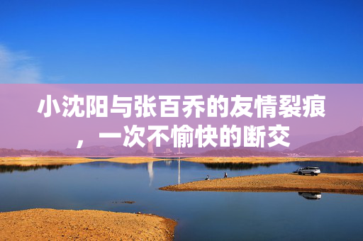 小沈阳与张百乔的友情裂痕，一次不愉快的断交