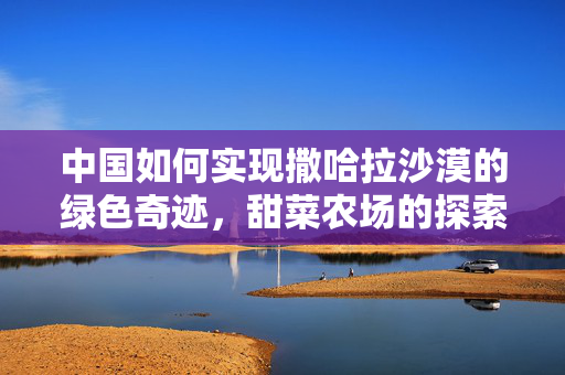中国如何实现撒哈拉沙漠的绿色奇迹，甜菜农场的探索与改造