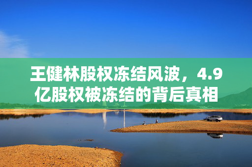 王健林股权冻结风波，4.9亿股权被冻结的背后真相