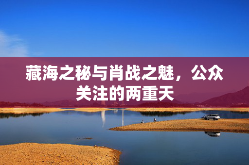 藏海之秘与肖战之魅，公众关注的两重天