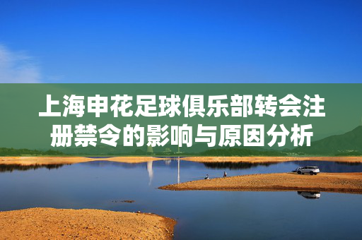 上海申花足球俱乐部转会注册禁令的影响与原因分析