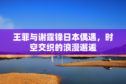 王菲与谢霆锋日本偶遇，时空交织的浪漫邂逅