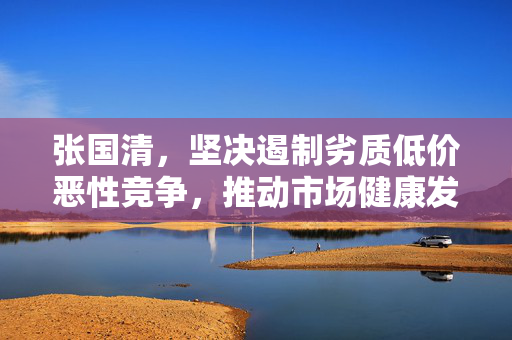 张国清，坚决遏制劣质低价恶性竞争，推动市场健康发展