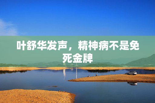 叶舒华发声，精神病不是免死金牌