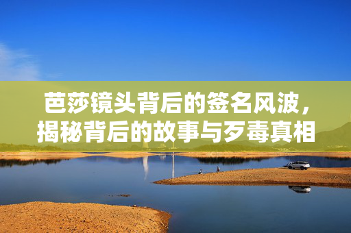 芭莎镜头背后的签名风波，揭秘背后的故事与歹毒真相
