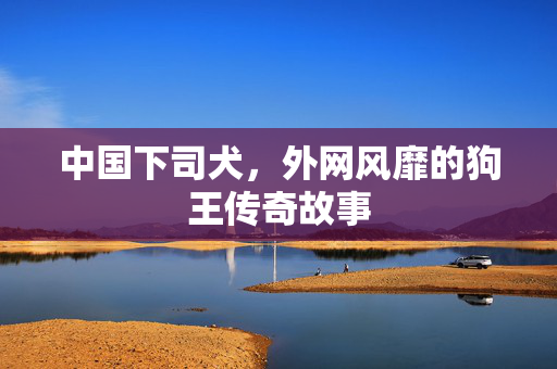 中国下司犬，外网风靡的狗王传奇故事