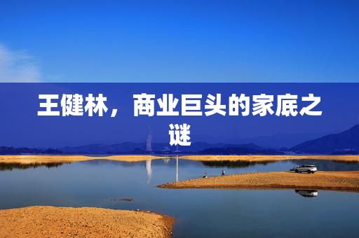 王健林，商业巨头的家底之谜