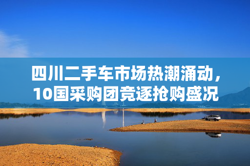 四川二手车市场热潮涌动，10国采购团竞逐抢购盛况