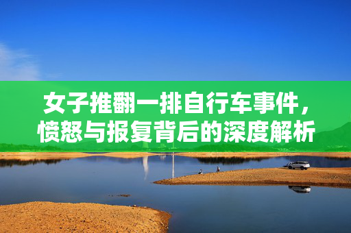 女子推翻一排自行车事件，愤怒与报复背后的深度解析