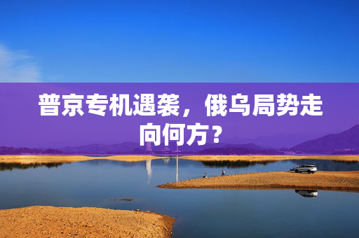普京专机遇袭，俄乌局势走向何方？