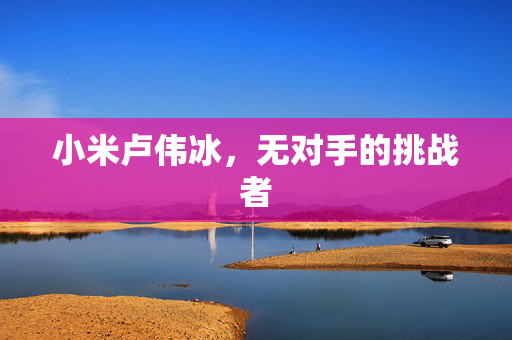 小米卢伟冰，无对手的挑战者