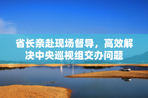 省长亲赴现场督导，高效解决中央巡视组交办问题