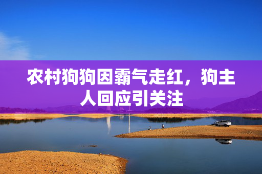 农村狗狗因霸气走红，狗主人回应引关注