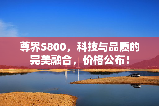 尊界S800，科技与品质的完美融合，价格公布！