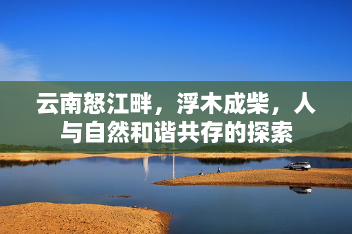 云南怒江畔，浮木成柴，人与自然和谐共存的探索