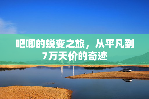 吧唧的蜕变之旅，从平凡到7万天价的奇迹