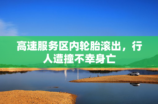 高速服务区内轮胎滚出，行人遭撞不幸身亡