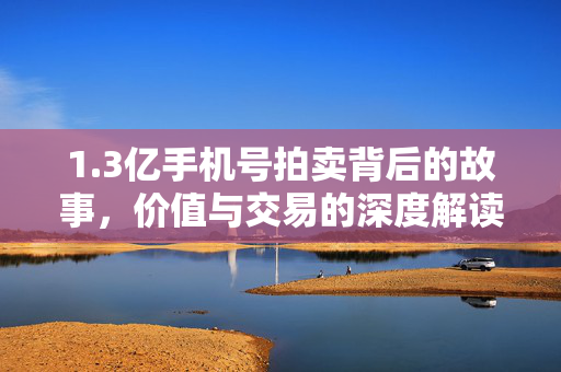 1.3亿手机号拍卖背后的故事，价值与交易的深度解读