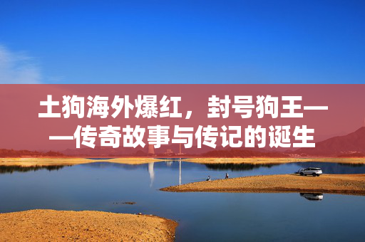 土狗海外爆红，封号狗王——传奇故事与传记的诞生