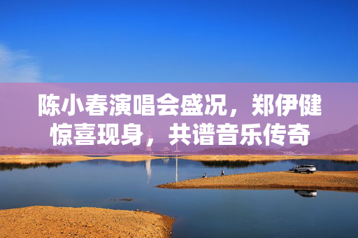 陈小春演唱会盛况，郑伊健惊喜现身，共谱音乐传奇