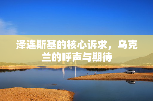 泽连斯基的核心诉求，乌克兰的呼声与期待