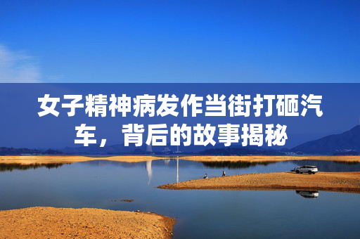 女子精神病发作当街打砸汽车，背后的故事揭秘