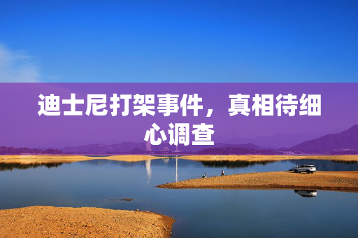 迪士尼打架事件，真相待细心调查